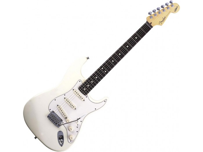 Fender Stratocaster Roland Ready Manual