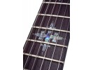 Schecter Damien Elite 7 FR MBK 