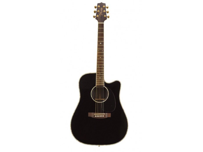 Takamine eg online 361 sc