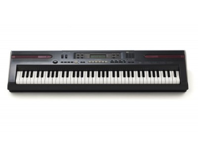 Casio WK-110 ** 