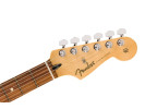 Fender Player Stratocaster Anniversary PF 2-Color Sunburst 