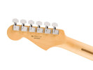 Fender Player Stratocaster Anniversary PF 2-Color Sunburst 