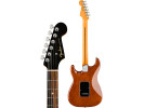 Fender Limited Edition American Ultra Stratocaster Streaked Ebony Tiger Eye HSS 