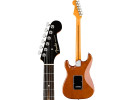 Fender Limited Edition American Ultra Stratocaster Streaked Ebony Tiger Eye SSS 