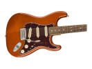 Fender Limited Edition Player Stratocaster PF Aged Natural  