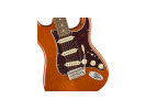 Fender Limited Edition Player Stratocaster PF Aged Natural 