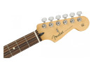 Fender Limited Edition Player Stratocaster PF Aged Natural 