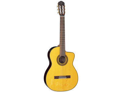 Takamine GC5CE-NAT 