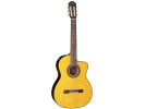 Takamine GC5CE-NAT  