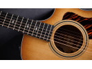 Taylor 50th Anniversary 314ce LTD 