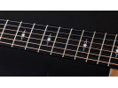 Taylor 50th Anniversary 314ce LTD 