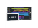 Steinberg Cubase 13 Pro EDU 