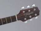 Takamine GF30CE-NAT 