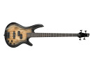 Ibanez GSR200SM-NGT Natural Gray Burst   