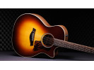 Taylor 50th Anniversary AD14ce-SB LTD 