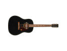 Gretsch Deltoluxe Dreadnought Black Top  