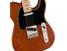 Fender Limited Edition American Performer Timber Telecaster MN Mocha 