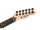 Fender Jim Root Telecaster EB White 