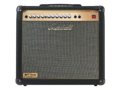 Marshall AVT50XT 50W 2 Channel 1x12 ** 